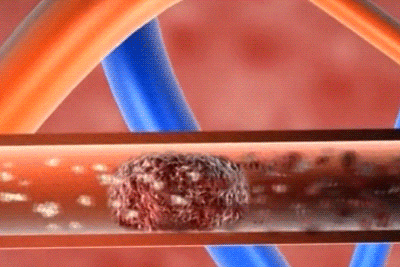 1755094993874055.gif
