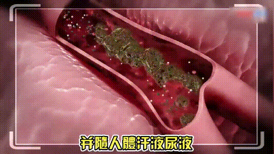 1755095477394490.gif